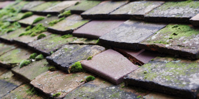 Sandhurst roof repair costs